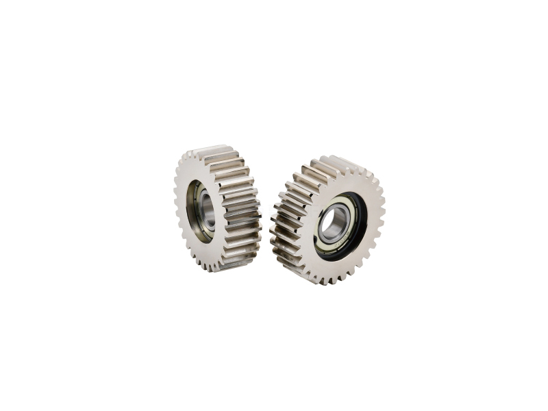 Bearing Type Spur Gear